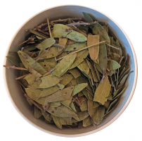 Uva Ursi leaf 1lb